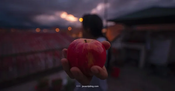 Angular JS Guide - JavaScripting