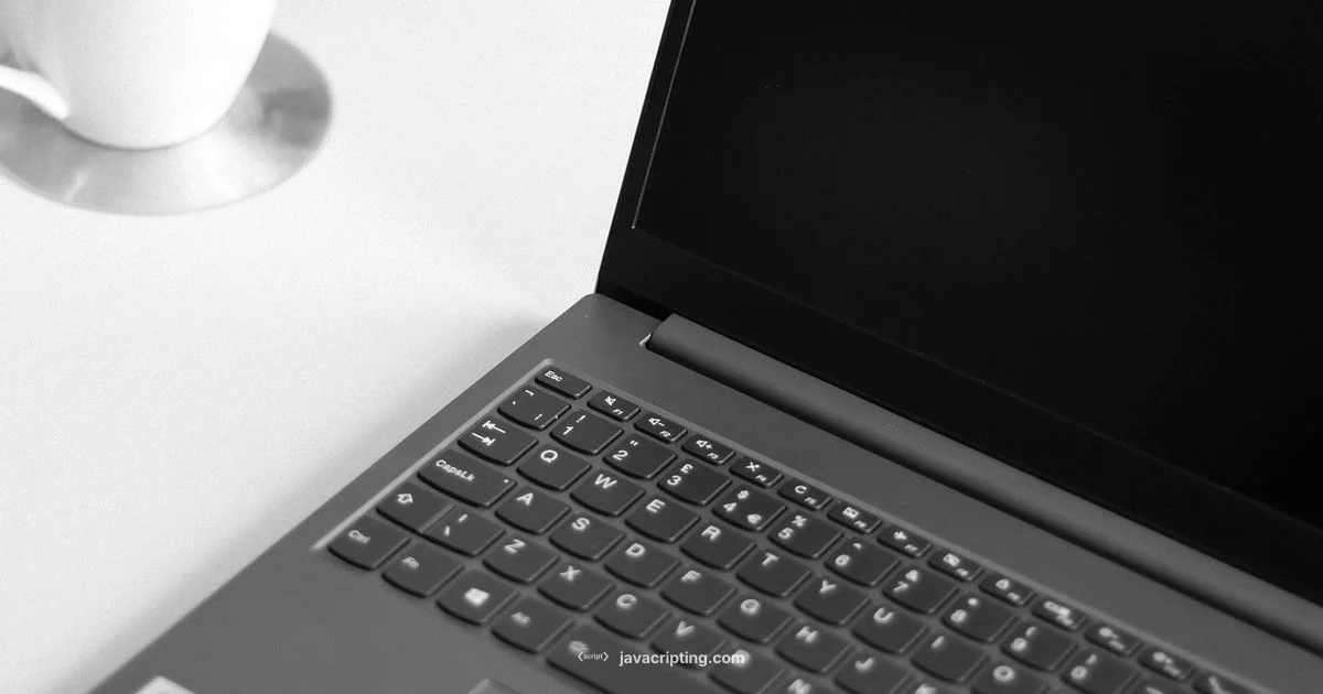 Website JavaScript Essentials - JavaScripting