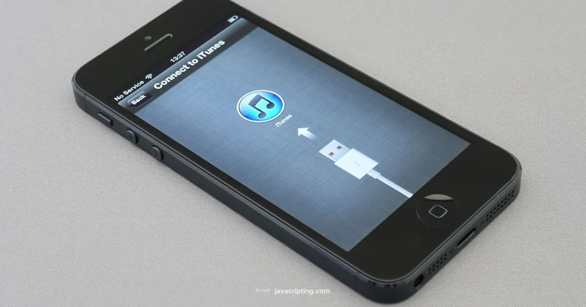 Turn on JavaScript on iPhone - JavaScripting
