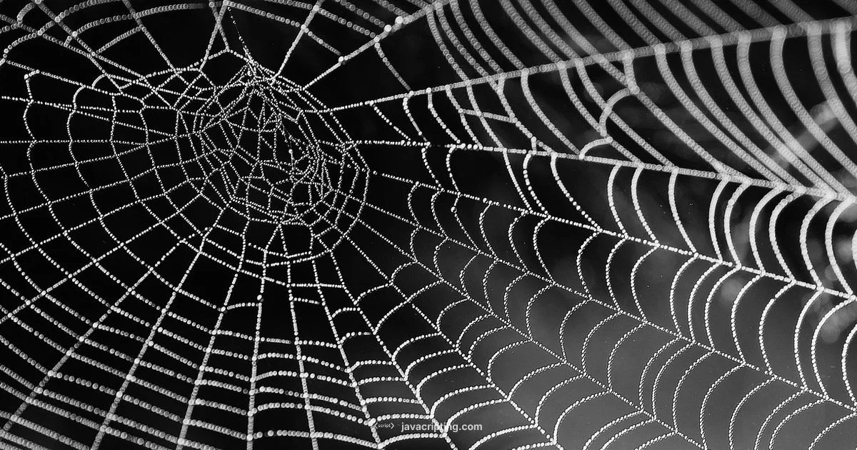 Why JS in Web Dev - JavaScripting