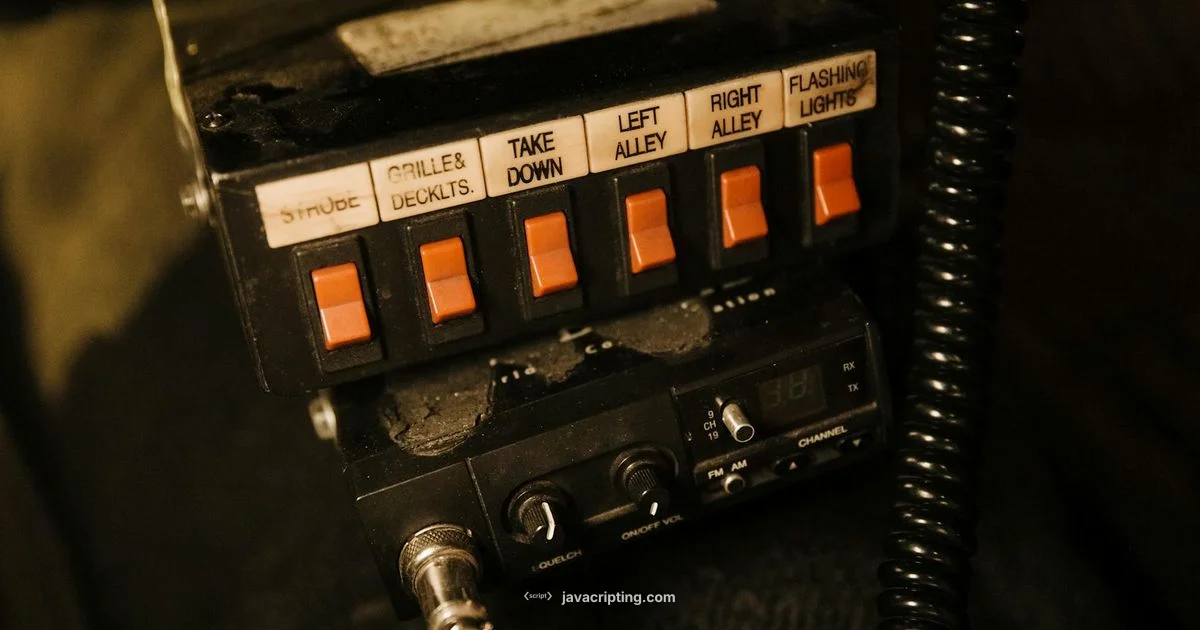 Radio Button Guide Radio Button Guide - JavaScripting