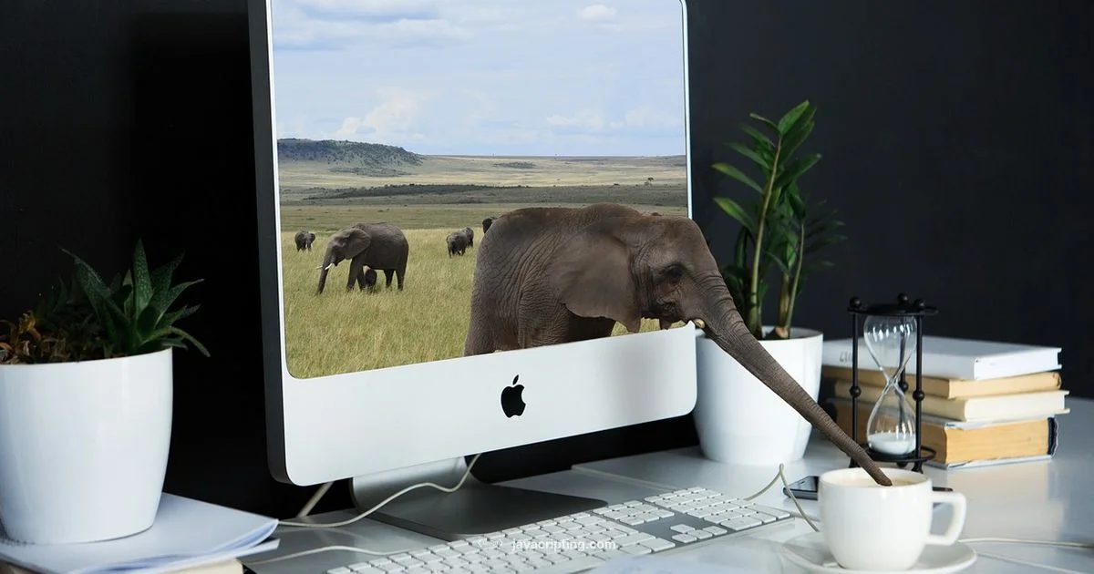 Beginner JS Course Beginner JS Course - JavaScripting