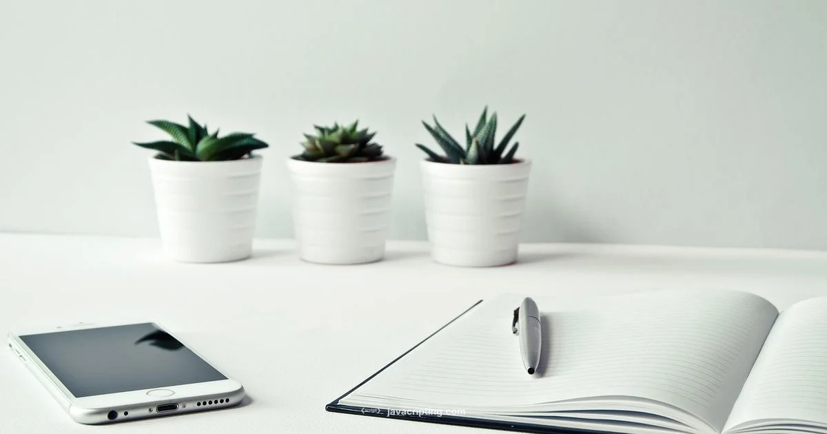 Best JS Compiler Guide - JavaScripting