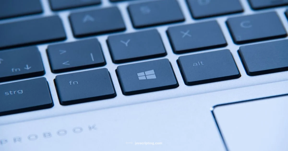 JS Validation Guide - JavaScripting